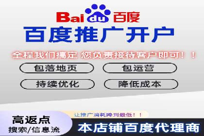 SEM推广公司成功案例：助力企业实现品牌多元化发展